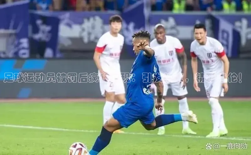 辉达注册官网入口百度游戏足球运动员被罚后疯狂表现：引发热议，精彩绝伦！