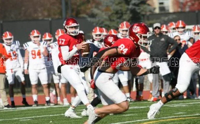 辉达娱乐知乎揭秘国外足球运动员高昂出场费用背后的秘密