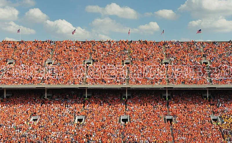 辉达娱乐app官网入口百度学术波澜壮阔：帆船运动的顶级赛事之旅