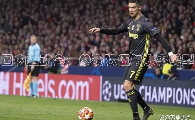 辉达App登录入口哇咔哇咔文化国内运动会：参赛队伍与赛事类型