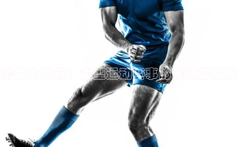 筹备与执行：大型运动赛事的完整流程图