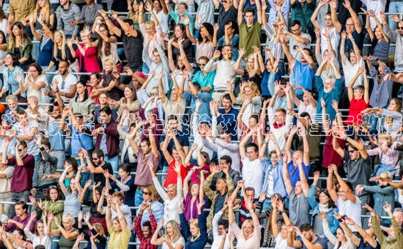 桨板竞赛：水上探险极限的力量与激情