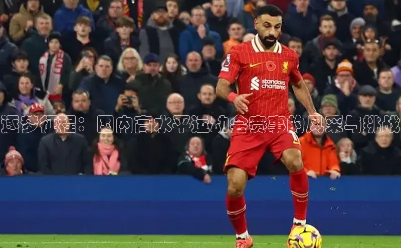 逐梦征程：国内高水平运动会赛事的风采与挑战