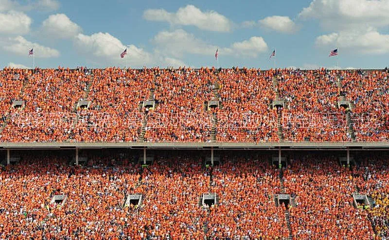 精彩瞬间速览：聚焦15秒内最激动人心的赛事片段