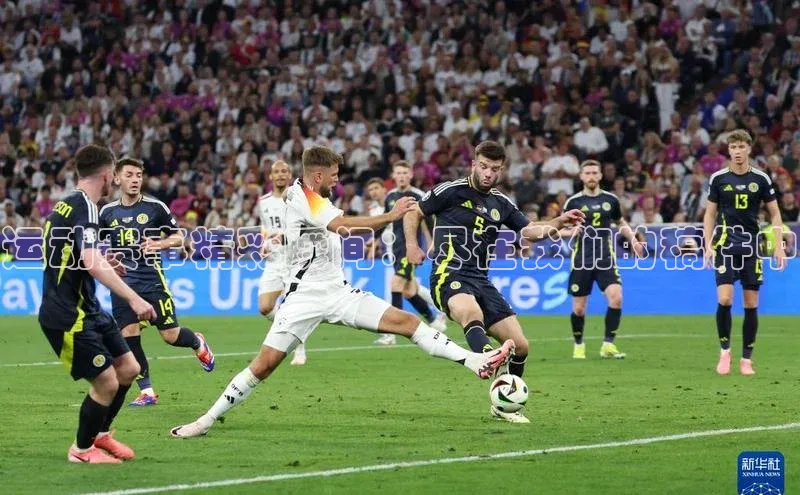 运动赛事精彩瞬间：尽在我们的稿件中