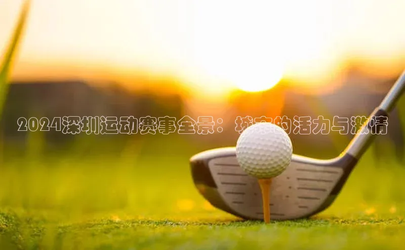 2024深圳运动赛事全景：城市的活力与激情