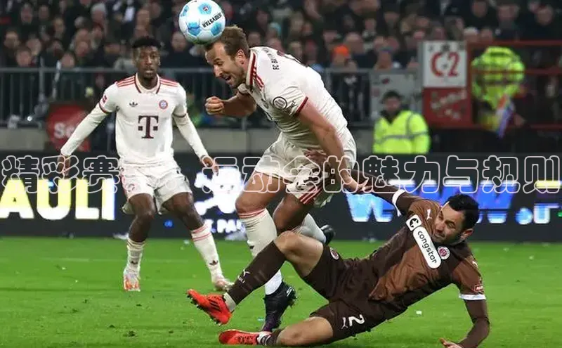 精彩赛事：运动会的魅力与规则