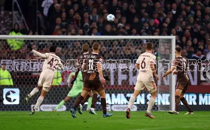 云南运动会赛事承办费用与方案探讨