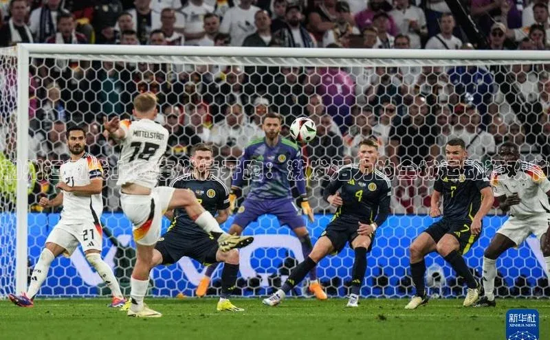 荆州运动线上赛事燃情开跑：激发活力的全城运动狂欢节