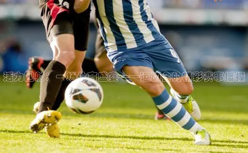 活力四射：一场体育盛宴——运动会的精彩赛事播报