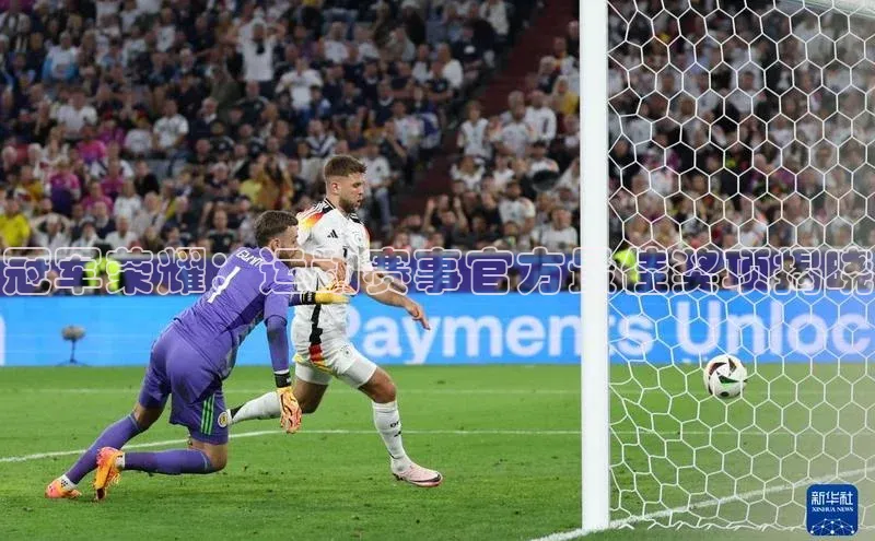 辉达娱乐app官网入口