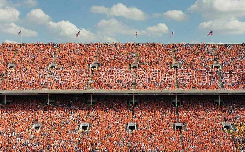 辉达平台网页版入口