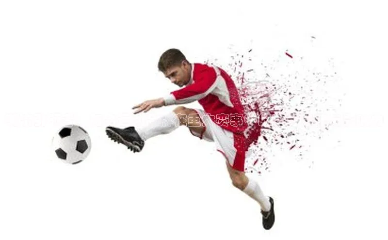 辉达App登录入口