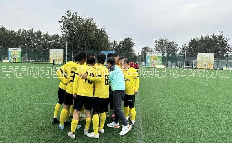 辉达娱乐平台app下载